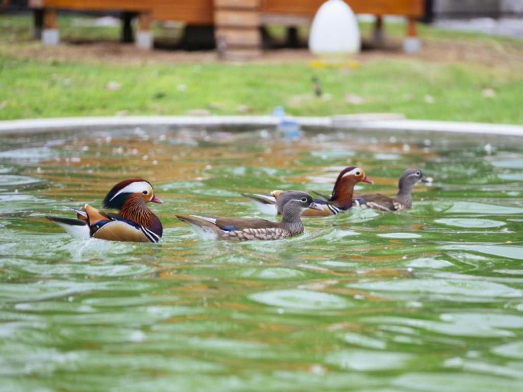 Baan Souchada Resort & Spa Sara Buri Eksteriør billede